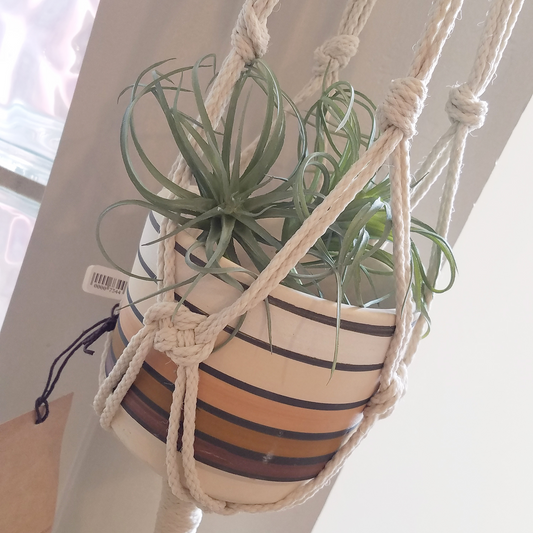 Forget Me Knots Large Macrame Plant Hanger image 0