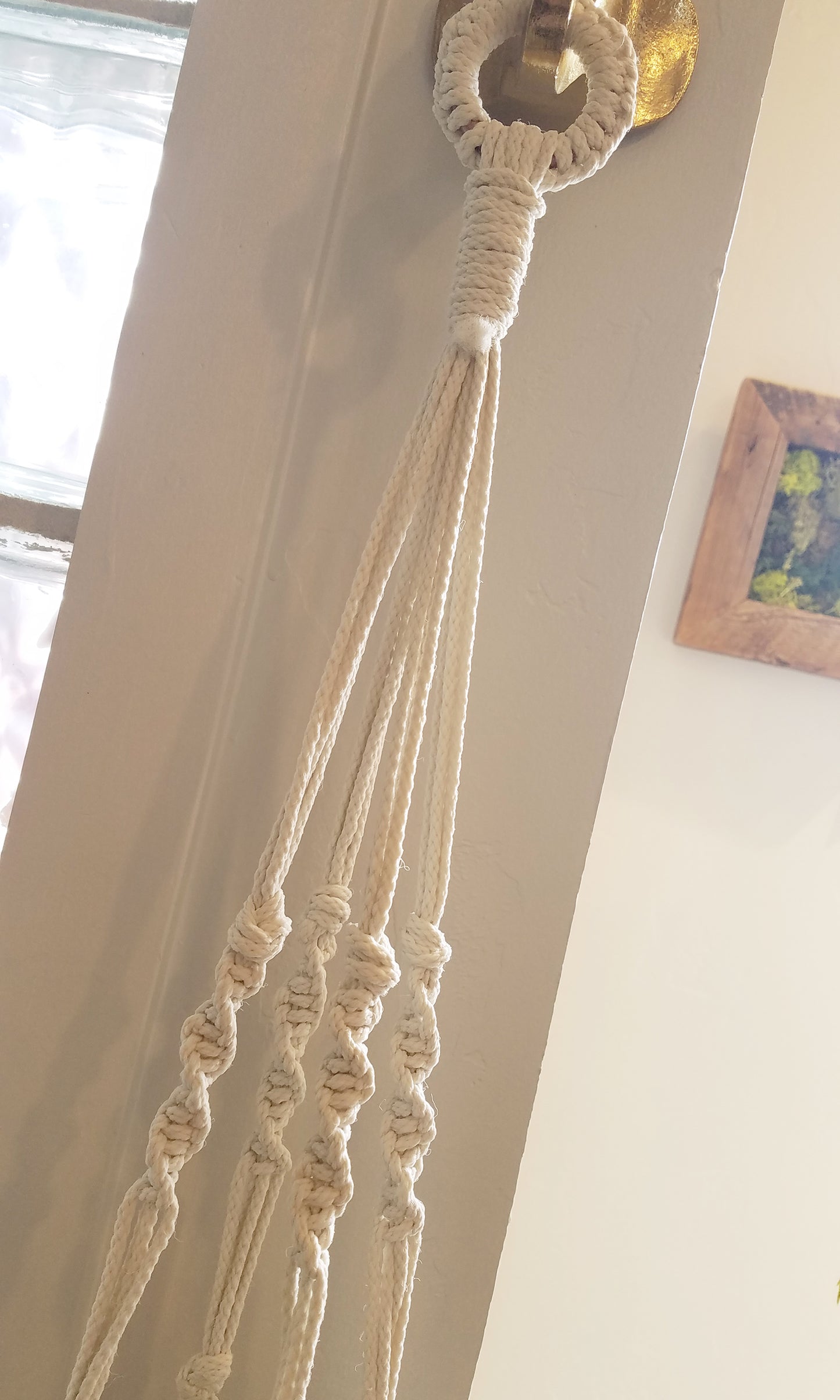 Forget Me Knots Large Macrame Plant Hanger image 3