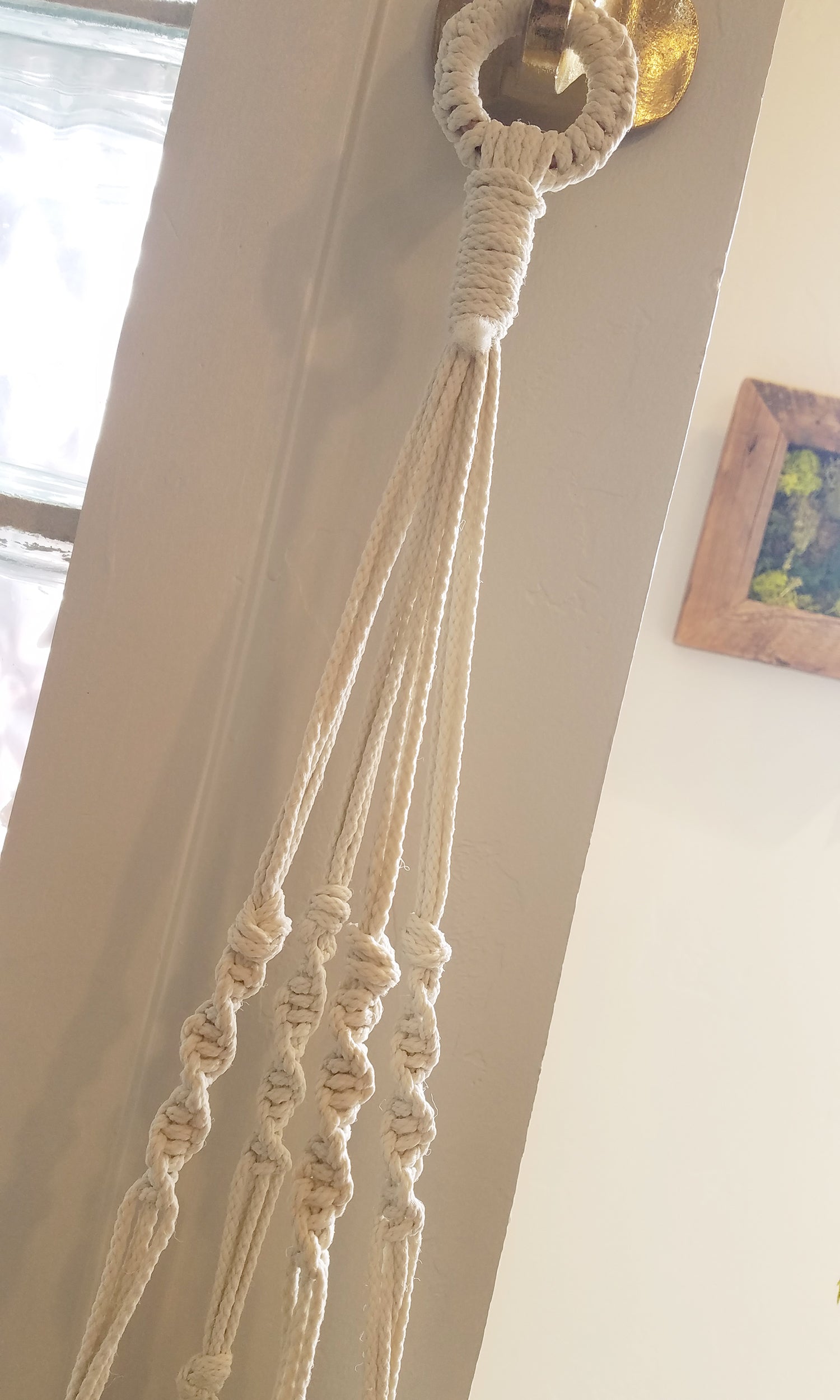 Forget Me Knots Large Macrame Plant Hanger image 3