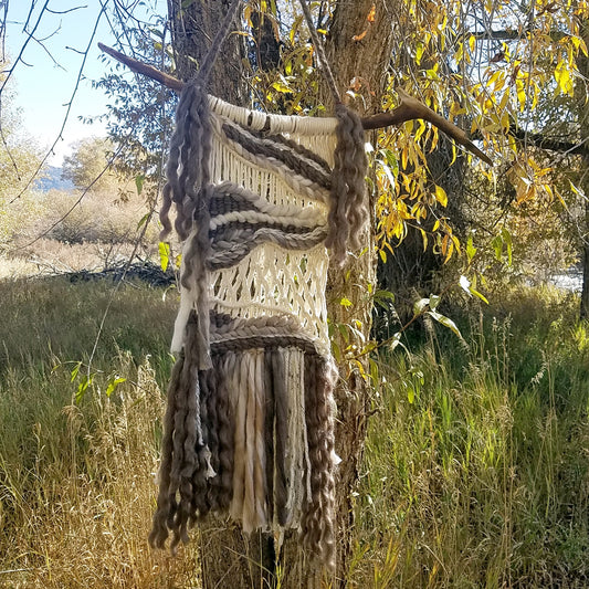 Shades of Fall Wall Hanging-Weaving/Macrame Combo image 0