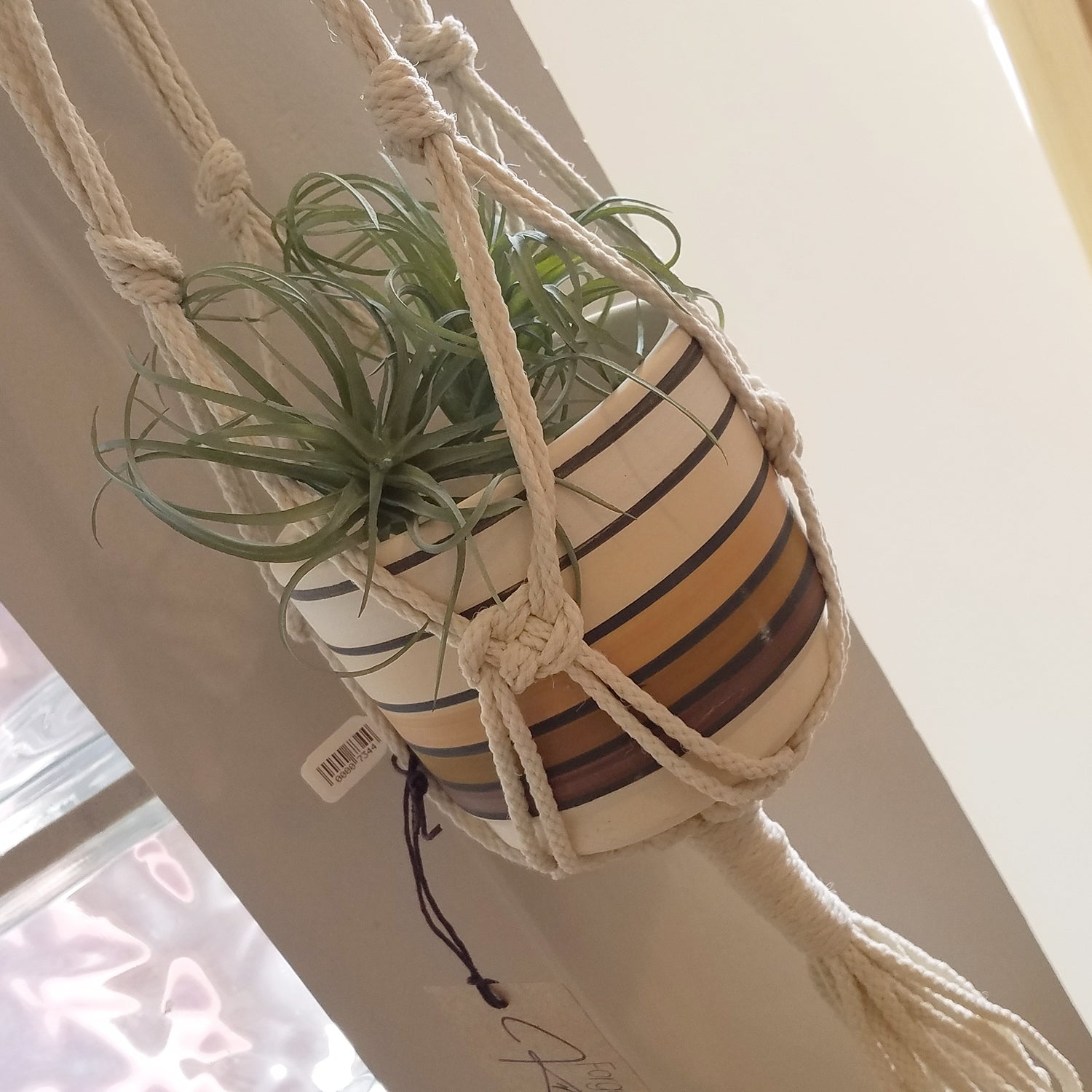 Forget Me Knots Large Macrame Plant Hanger image 4