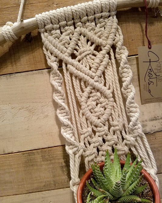 Forget Me Knots Medium Macrame Wall Plant Hanger image 0
