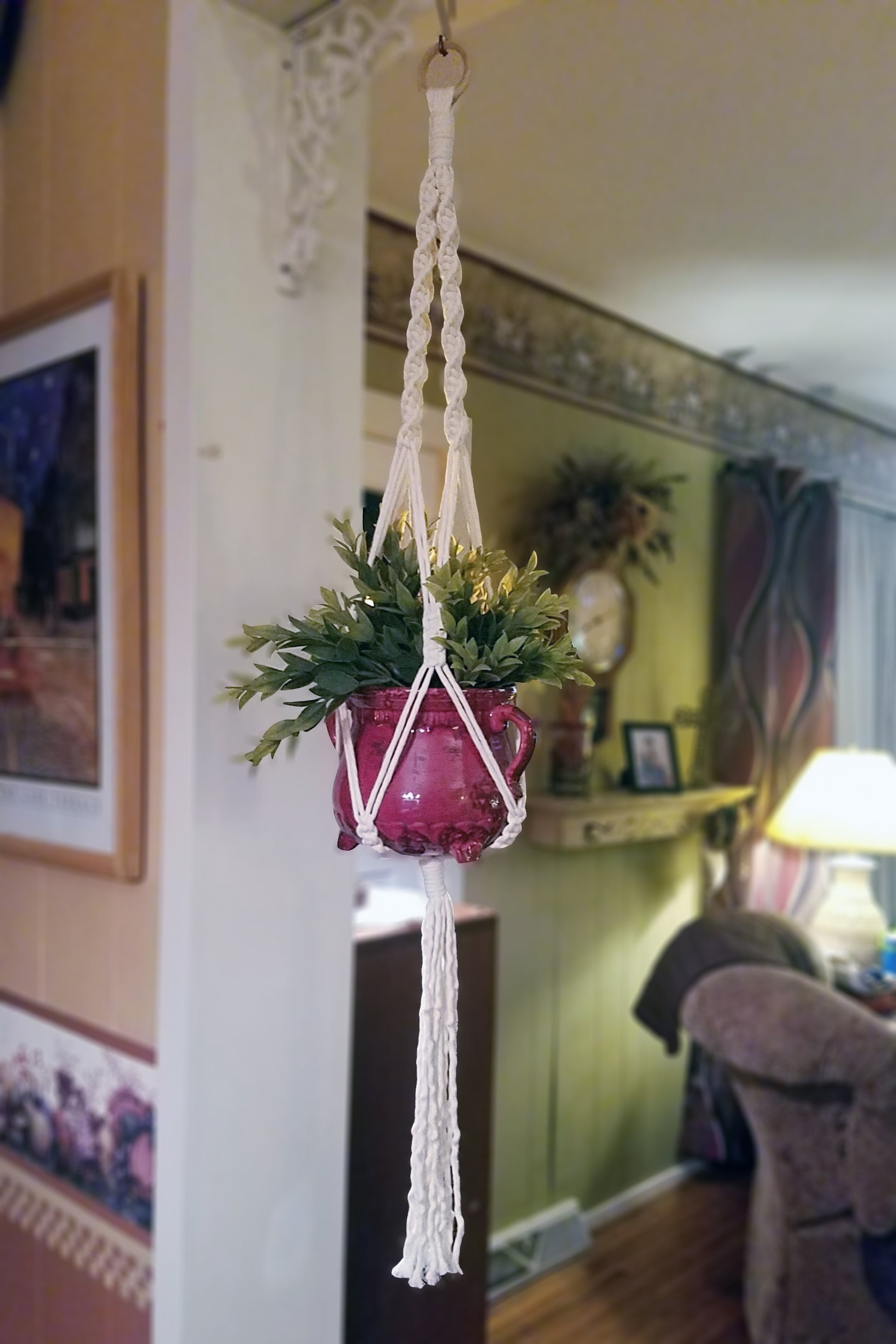 Forget Me Knots Medium Macrame Plant Hanger image 0