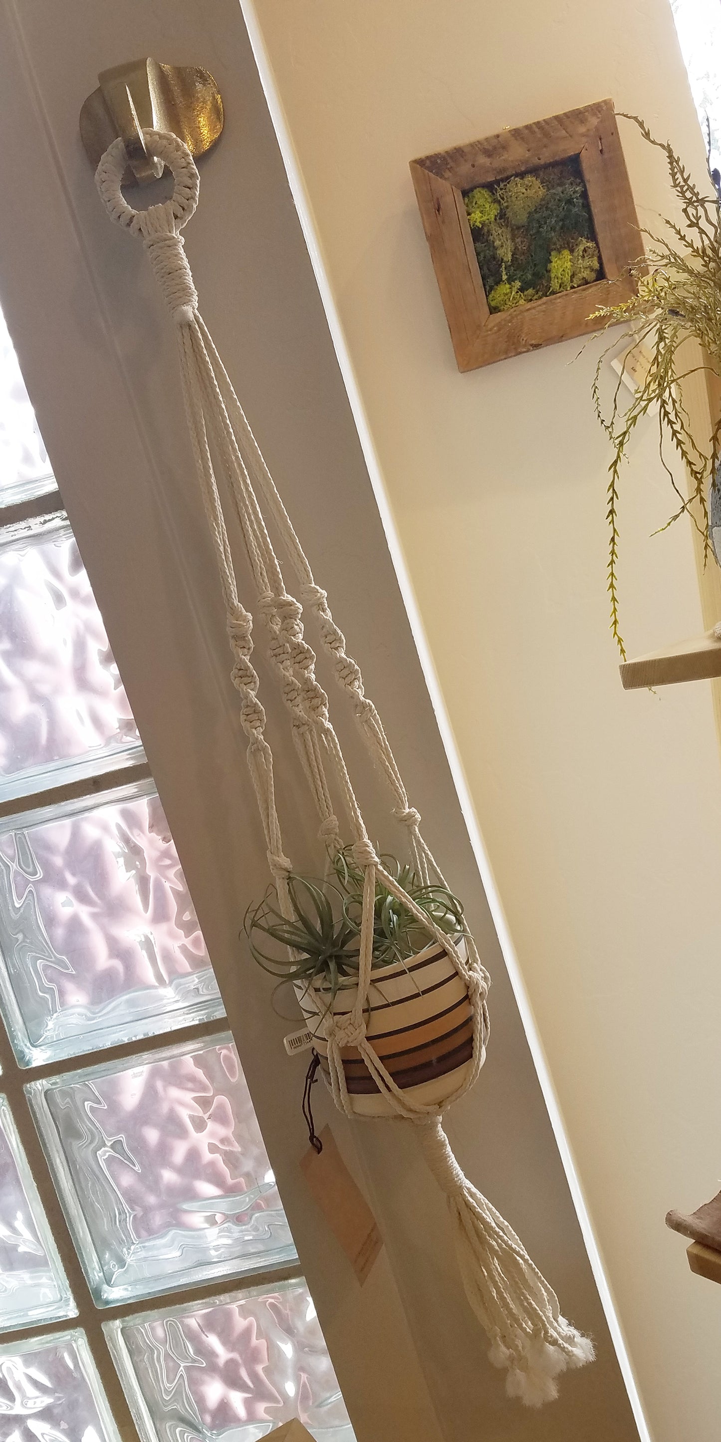 Forget Me Knots Large Macrame Plant Hanger image 2
