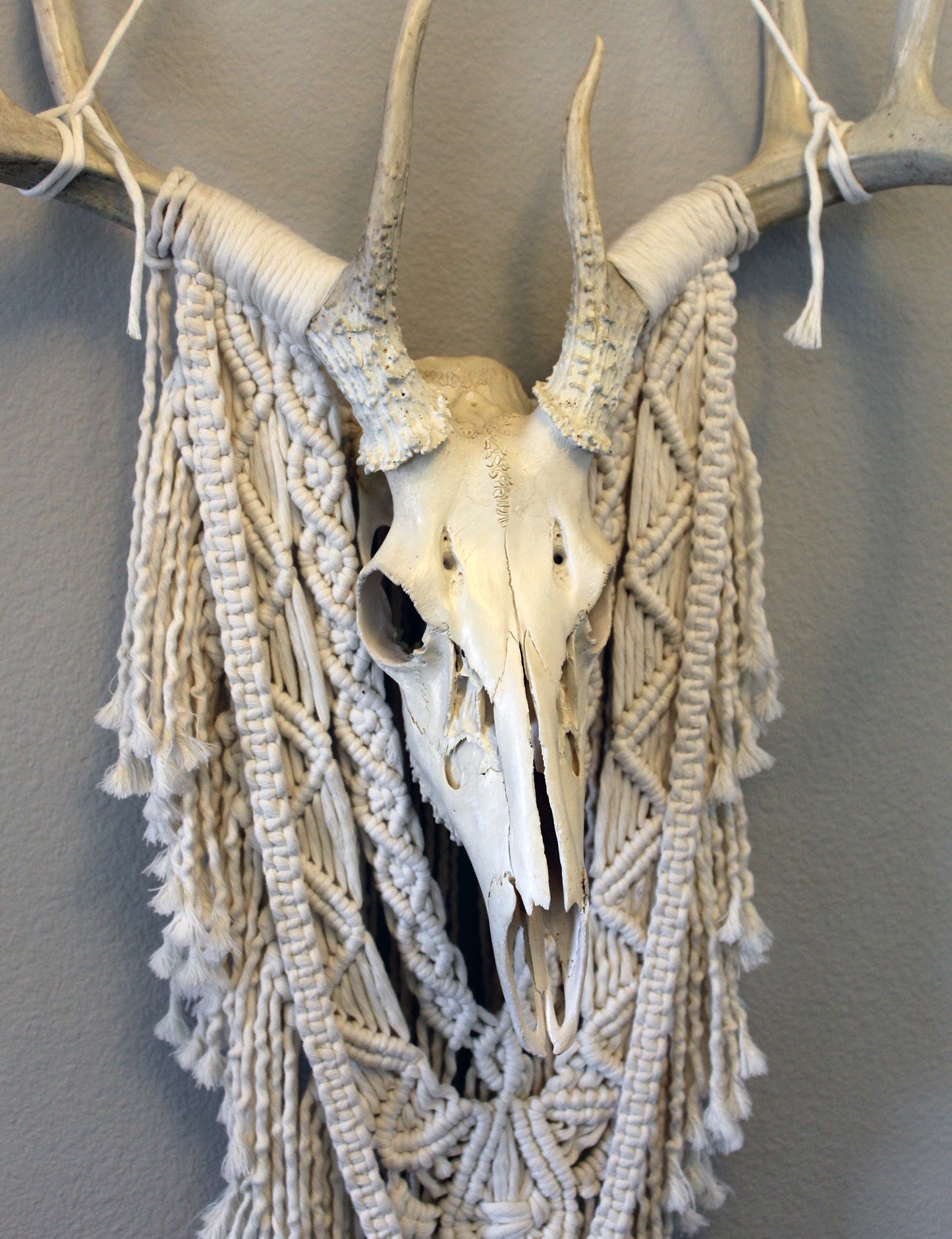 ONE-OF-A-KIND Forget Me Knots Macrame Deer Skull Wall Hanging image 6