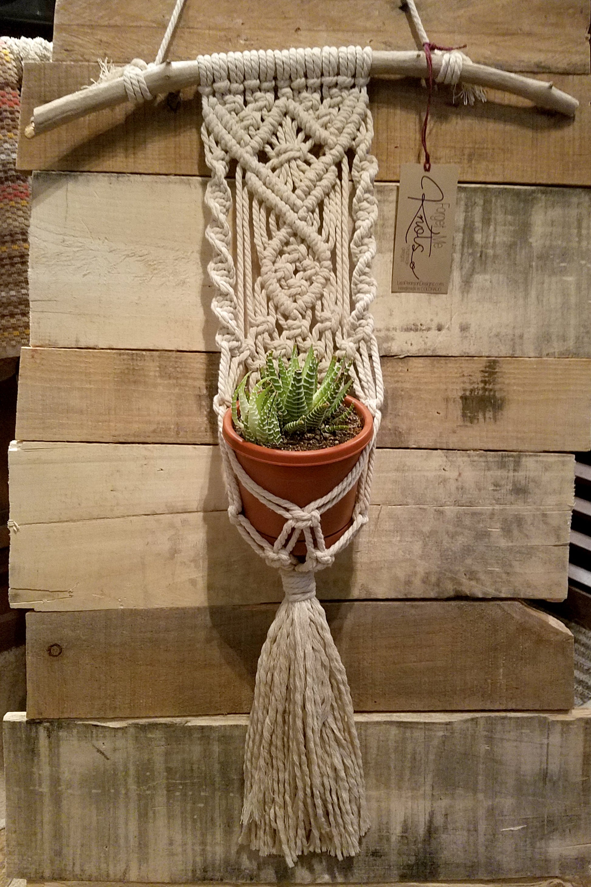 Forget Me Knots Medium Macrame Wall Plant Hanger image 1