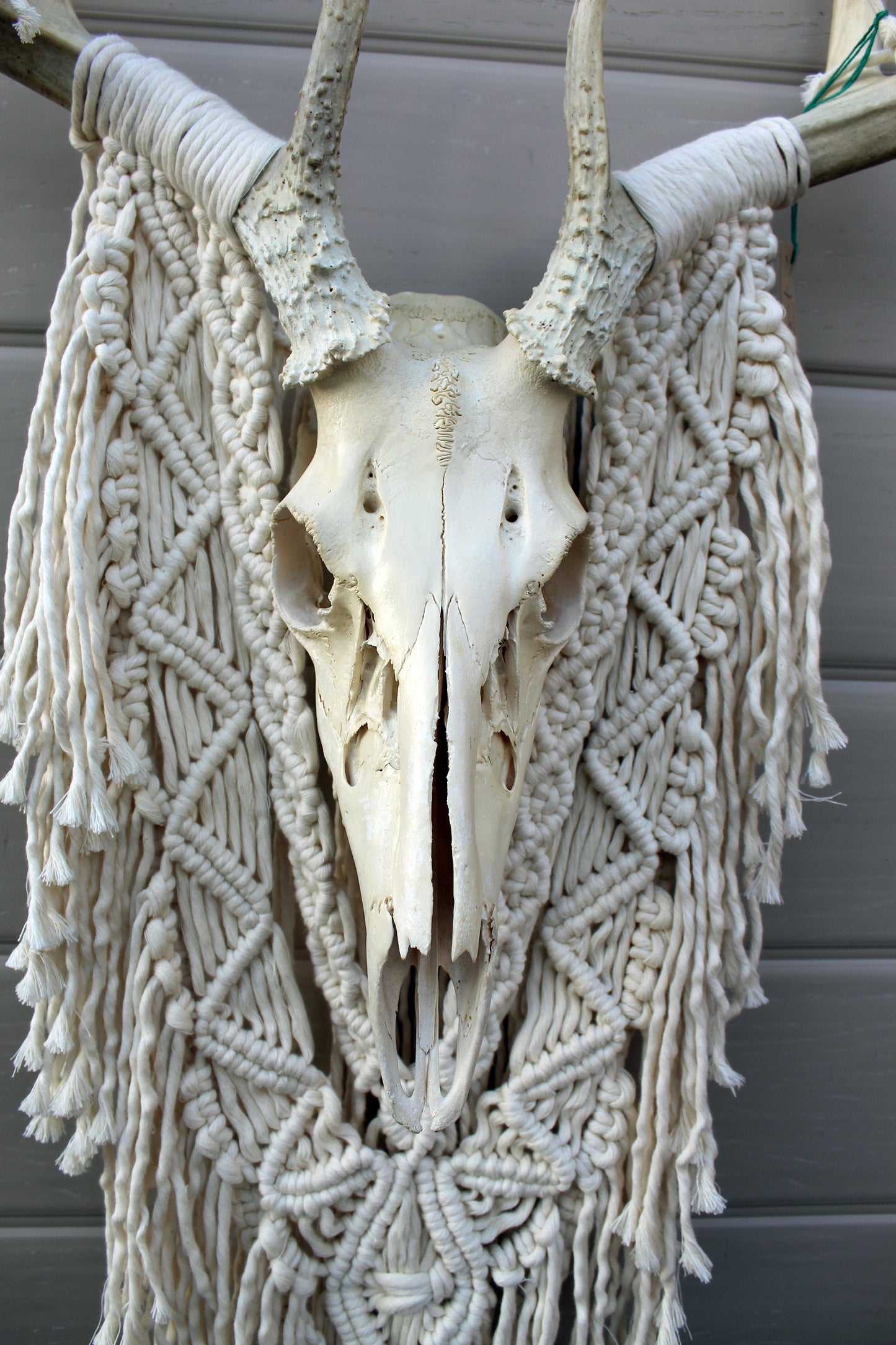 ONE-OF-A-KIND Forget Me Knots Macrame Deer Skull Wall Hanging image 3