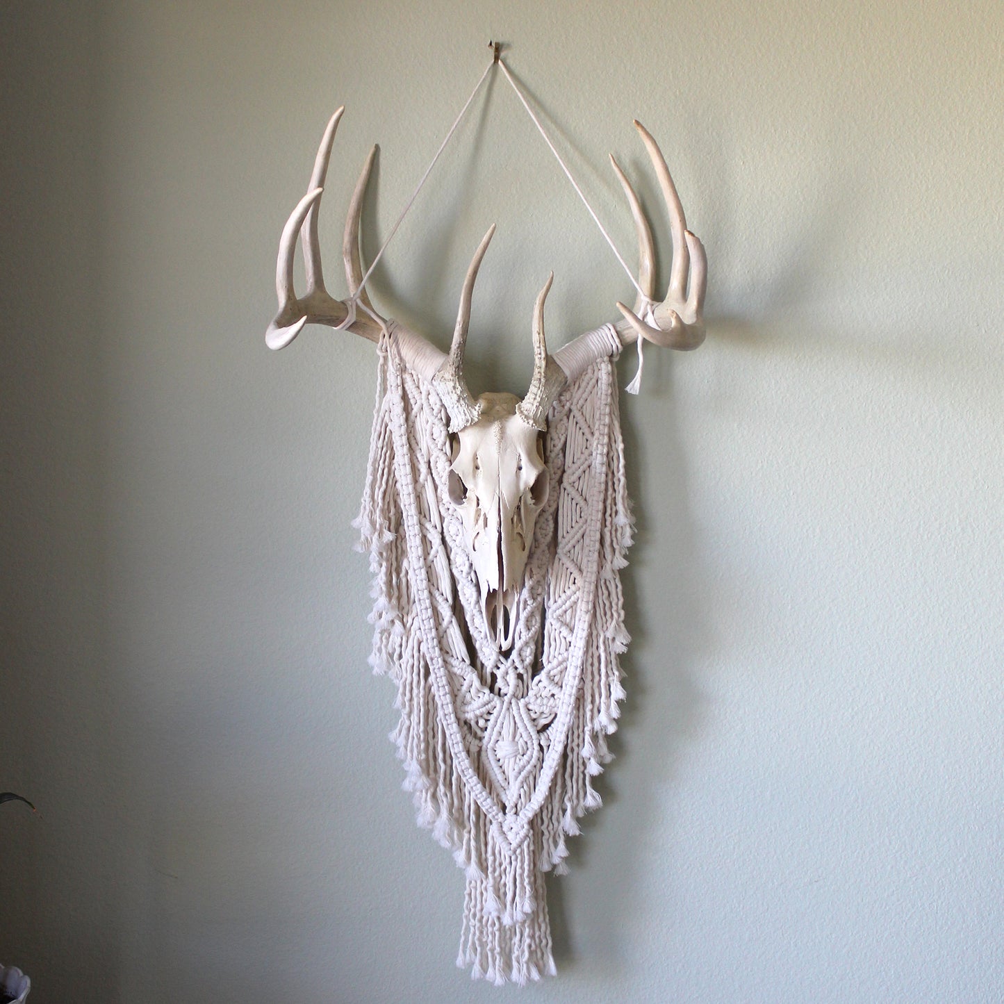 ONE-OF-A-KIND Forget Me Knots Macrame Deer Skull Wall Hanging image 5