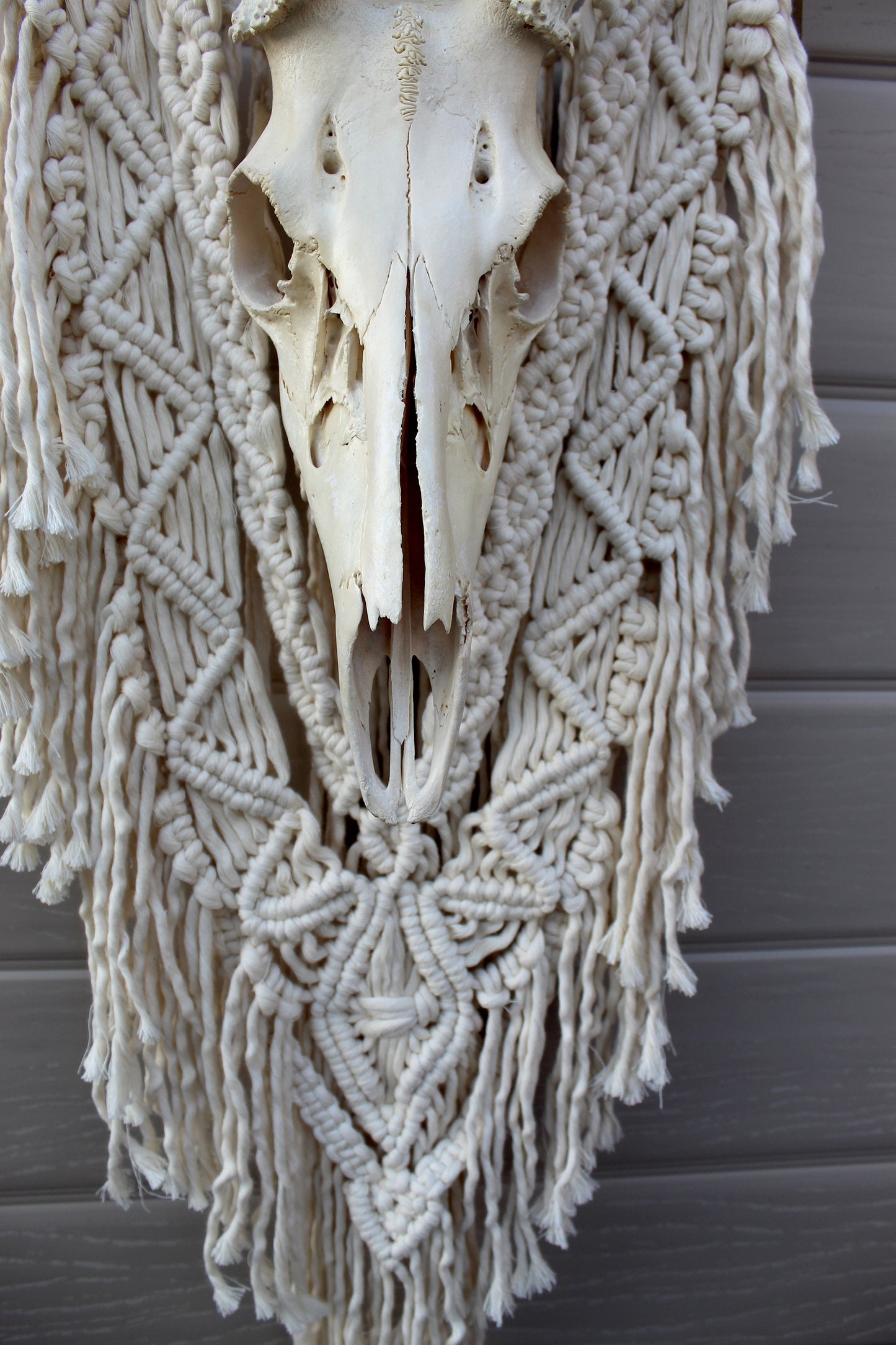 ONE-OF-A-KIND Forget Me Knots Macrame Deer Skull Wall Hanging image 2