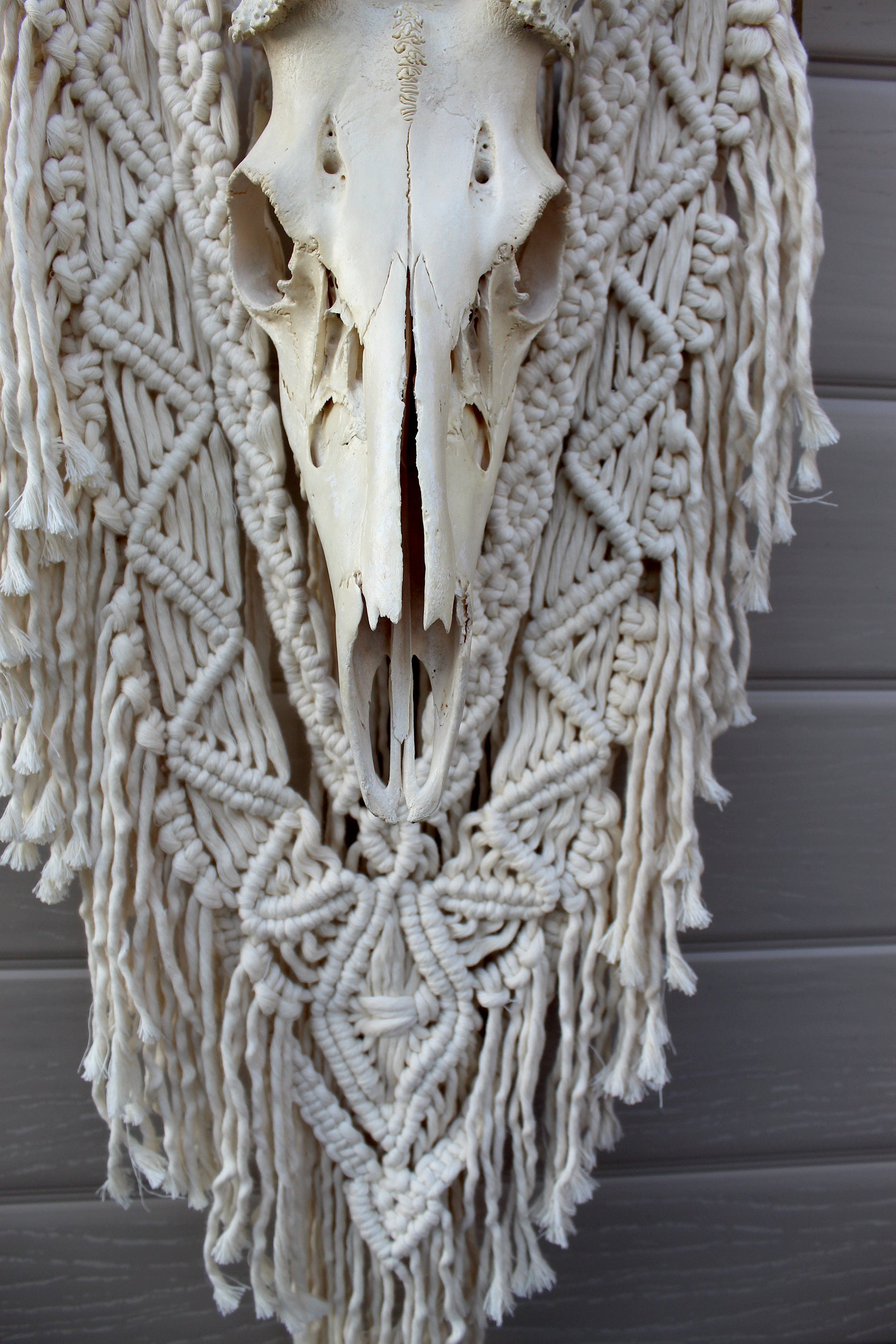 ONE-OF-A-KIND Forget Me Knots Macrame Deer Skull Wall Hanging image 2
