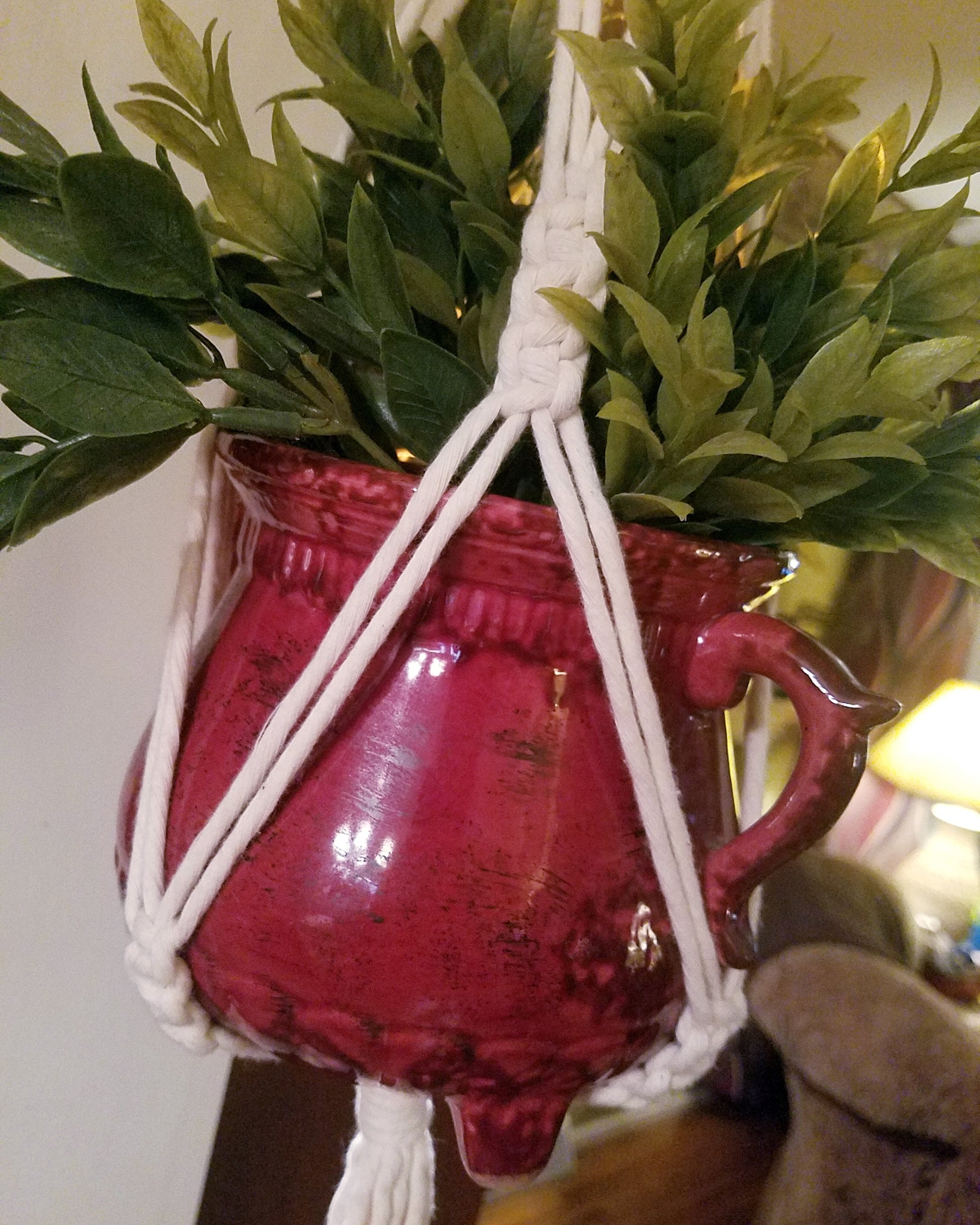 Forget Me Knots Medium Macrame Plant Hanger image 1