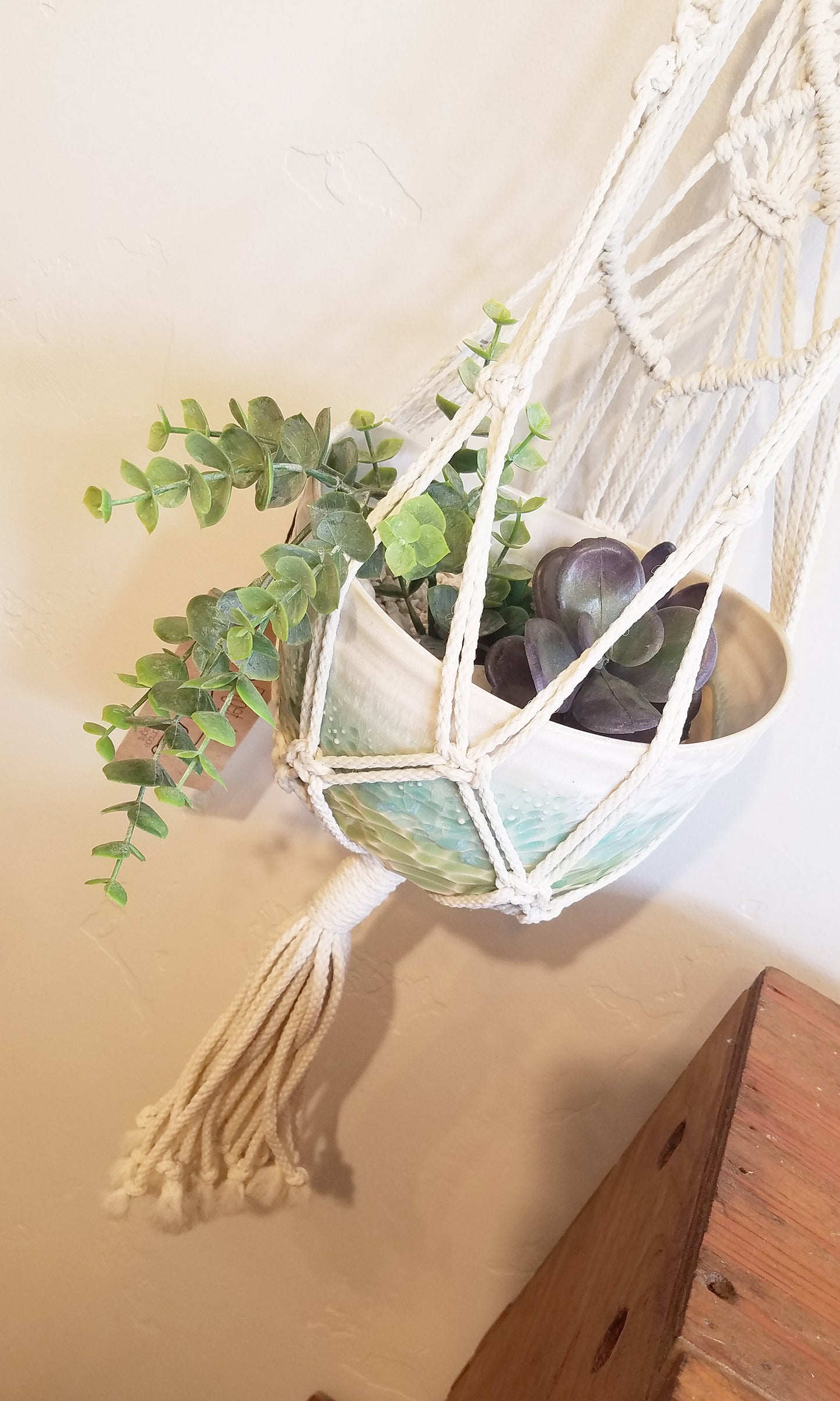 Forget Me Knots Macrame Wall Plant Hanger image 4